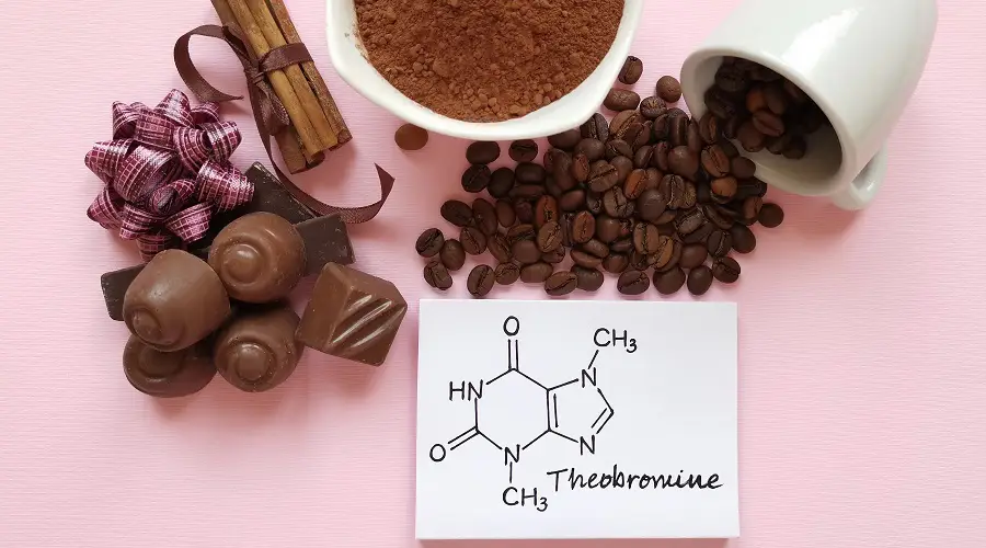 Theobromine là gì trong Yerba Mate?